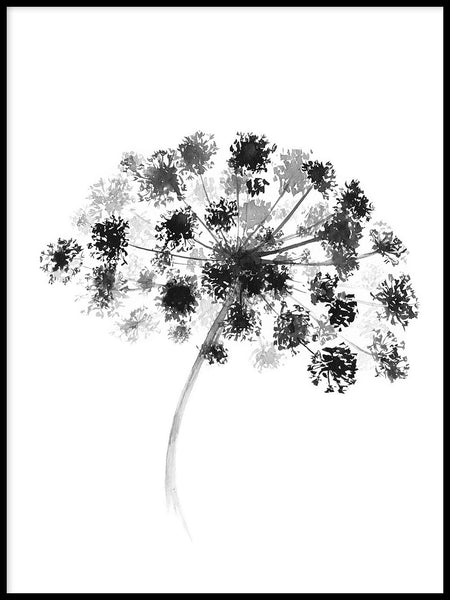 Poster: Hogweed, by Sofie Rolfsdotter