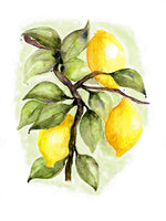 Poster: Lemons, by Annas Design & Illustration