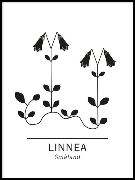 Poster: Linnaea borealis, by Paperago