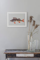 Poster: Perch, by Discontinued products