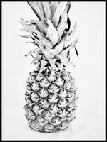 Poster: Pineapple art, by Discontinued products
