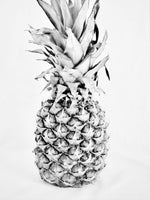 Poster: Pineapple art, by Discontinued products