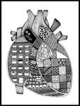 Poster: Anatomic heart, by Tovelisa