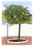 Poster: Andalusia: Lemon tree, by Discontinued products