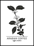 Poster: Arabian Coffee, by Paperago