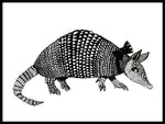 Poster: Armadillo, by Lindblom of Sweden