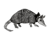 Poster: Armadillo, by Lindblom of Sweden
