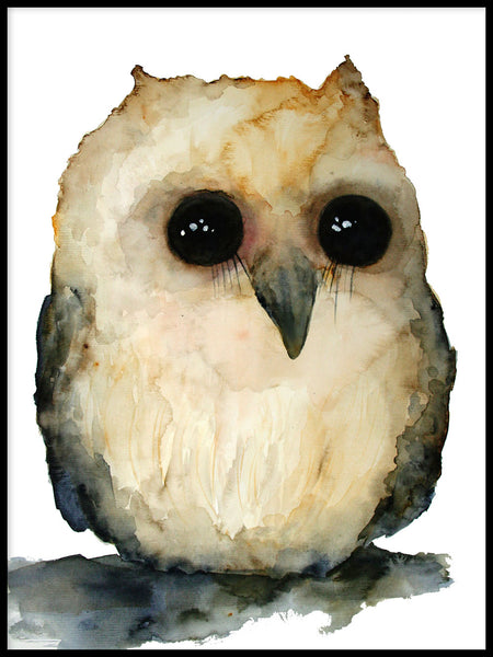 Poster: Baby Owl, by Sofie Rolfsdotter