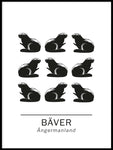Poster: beaver the official animals of Ångermanland, Sweden., by Paperago