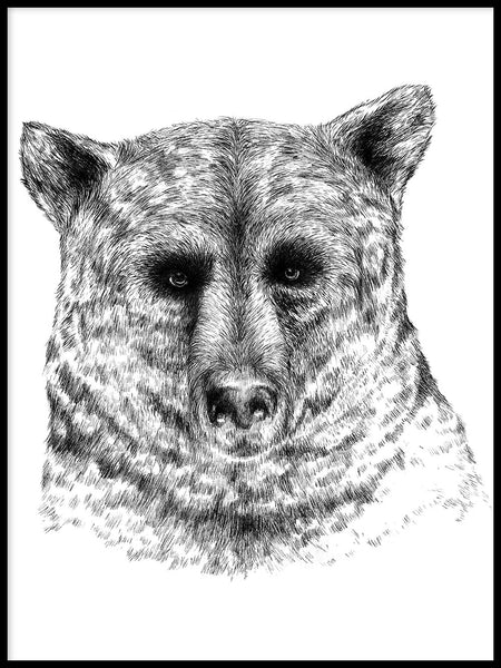 Poster: Bear, by Sofie Rolfsdotter