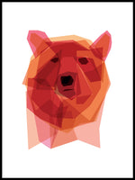 Poster: Bear, by Discontinued products