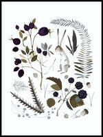 Poster: Berries and leaves, by Discontinued products