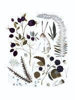 Poster: Berries and leaves, by Discontinued products