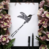 Poster: Birdy, by Discontinued products