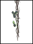Poster: Flowering vines, by Ida Maria