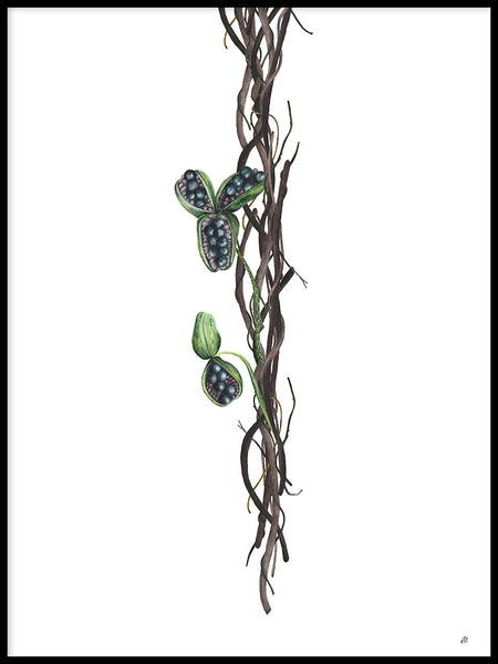 Poster: Flowering vines, by Ida Maria