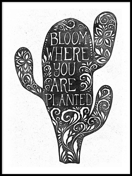 Poster: Bloom, by Sofie Rolfsdotter