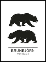 Poster: Brown bear the official animals of Härjedalen, Sweden., by Paperago