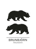 Poster: Brown bear the official animals of Härjedalen, Sweden., by Paperago