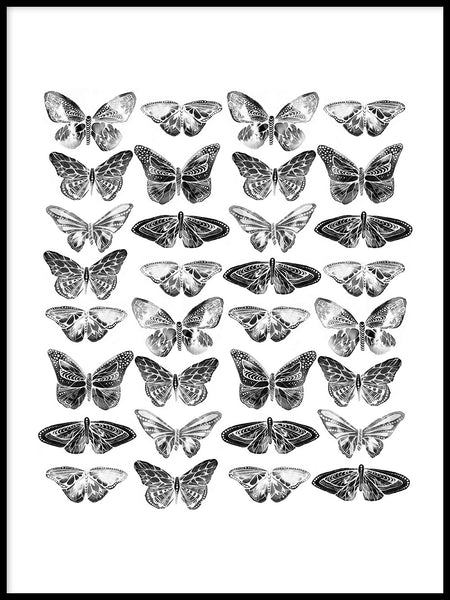 Poster: Butterflies, by Sofie Rolfsdotter