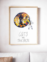 Poster: Cats are the best, by Discontinued products