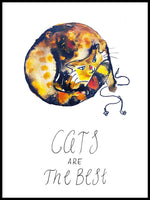 Poster: Cats are the best, by Discontinued products