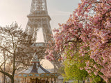 Poster: Cherry Blossom at Eiffel II, by Magdalena Martin Photography