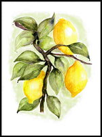 Poster: Lemons, by Annas Design & Illustration