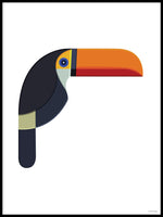 Poster: Colorful Birds #10, by Discontinued products