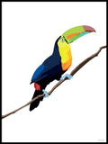 Poster: Colorful Birds #21, by PIEL Design