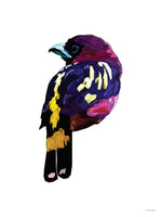 Poster: Colorful Birds #47, by PIEL Design