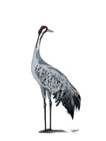 Poster: Common Crane, by Stefanie Jegerings