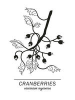 Poster: Cranberries, by Paperago