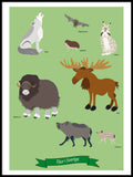 Poster: Animals in Sweden, by Discontinued products