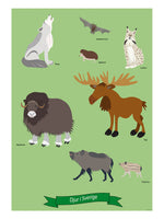 Poster: Animals in Sweden, by Discontinued products