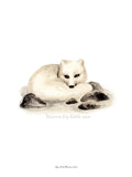 Poster: Dream Big little one (Arctic fox), by Ekkoform illustrations