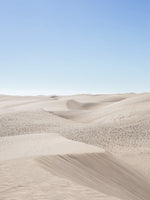 Poster: Dunas, by Discontinued products