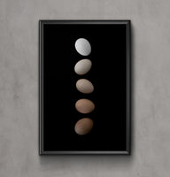 Poster: Egg shades, by EMELIEmaria