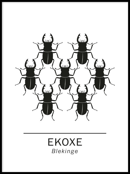 Poster: Stag beetle the official animals of Blekinge, Sweden., by Paperago