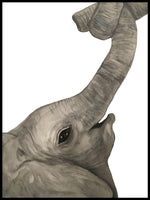 Poster: Elephant, by Discontinued products