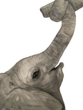 Poster: Elephant, by Discontinued products