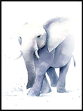 Poster: Elephant, by Cora konst & illustration