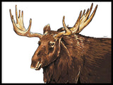 Poster: Elk, by Stefanie Jegerings
