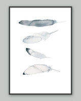 Poster: Feathers, by Toril Bækmark