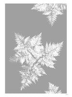 Poster: Fern III, by Discontinued products