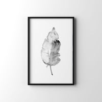 Poster: Light as a feather, black, by EMELIEmaria