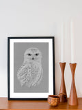 Poster: Snowy Owl, by Fröken Fräken Form
