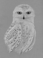Poster: Snowy Owl, by Fröken Fräken Form