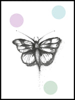 Poster: Butterfly, by Discontinued products