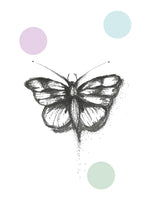 Poster: Butterfly, by Discontinued products